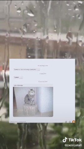 Привет а ты в пятницу кузя помнеш