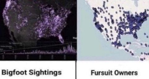 Bigfoot Sightings Fursuit Owners