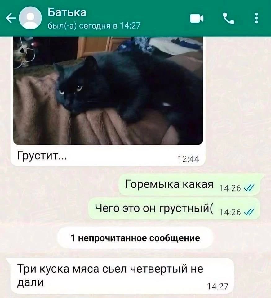 Батька 3 был(-а) сегодня в 14:27 Грустит... 12:44 Горемыка какая 14.26 Чего это он грустный( 14.26 1 непрочитанное сообщение Три куска мяса сьел четвертый не дали 14:27