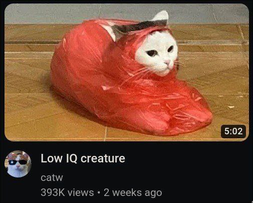Low creature
