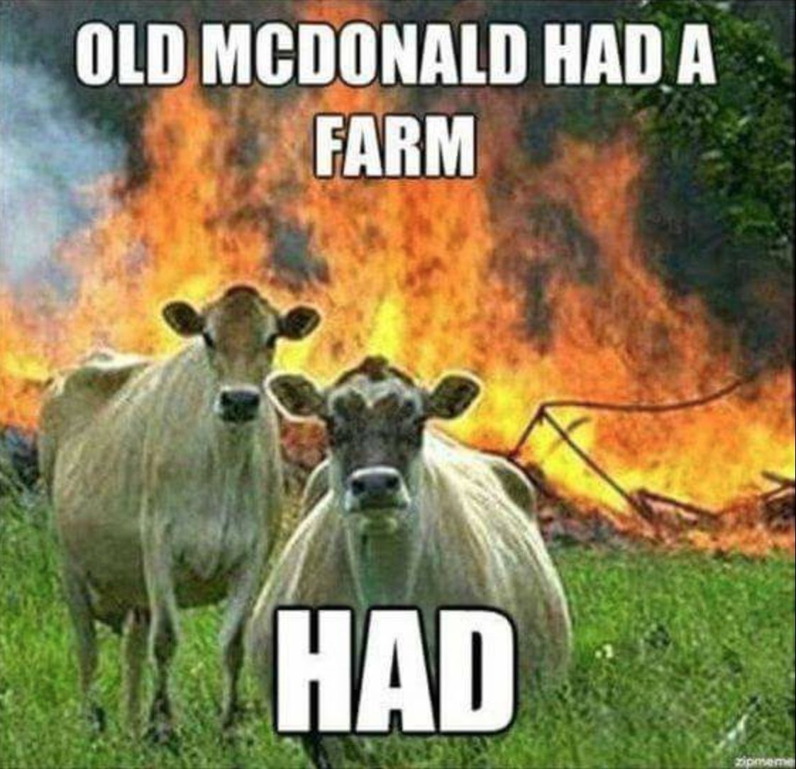 OLD MCDONALD HADA FARM HAD