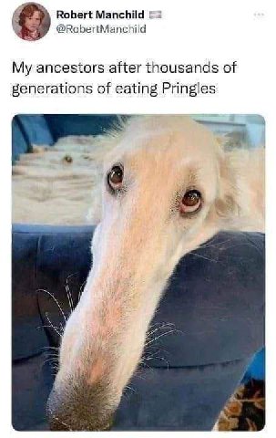 Robert Manchild @®RobertManchild My ancestors after thousands of generations of eating Pringles a
