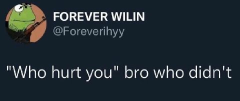 FOREVER WILIN @Foreverihyy "Who hurt you" bro who didn't