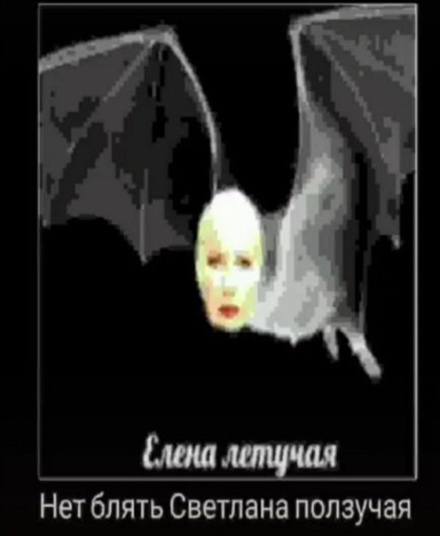4 (лена летучая Нет блять Светлана ползучая