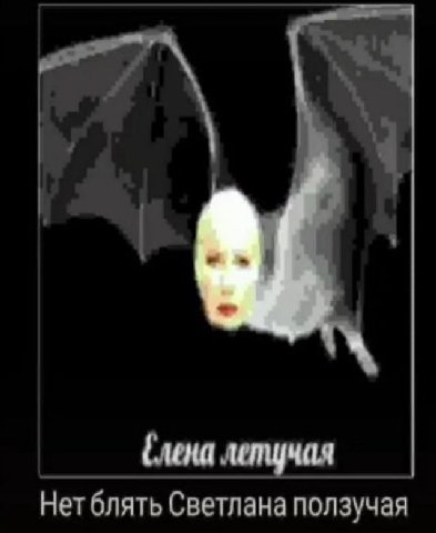 4 (лена летучая Нет блять Светлана ползучая