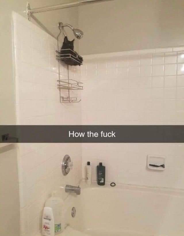 How the fuck