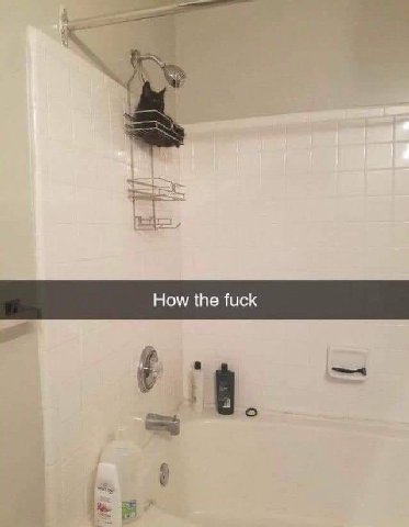 How the fuck