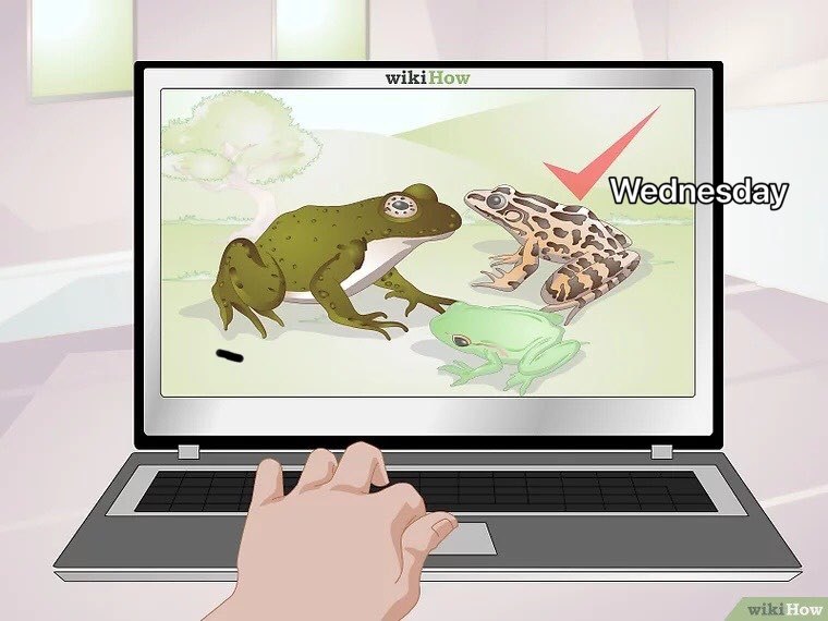 i wiki
