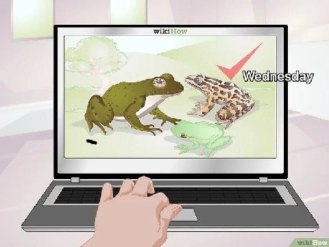i wiki