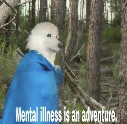 Mental is an adventure,