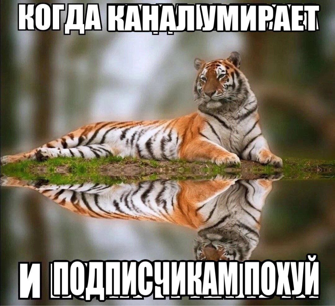 КОГДА КАНАЛУМИРАЕТ И