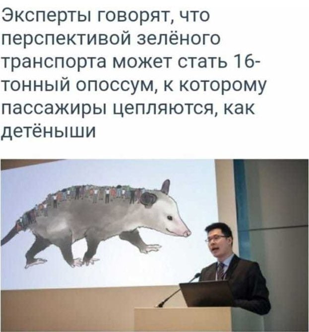 Эксперты говорят, что перспективой зелёного транспорта может стать 16- тонный опоссум, к которому пассажиры цепляются, как детёныши