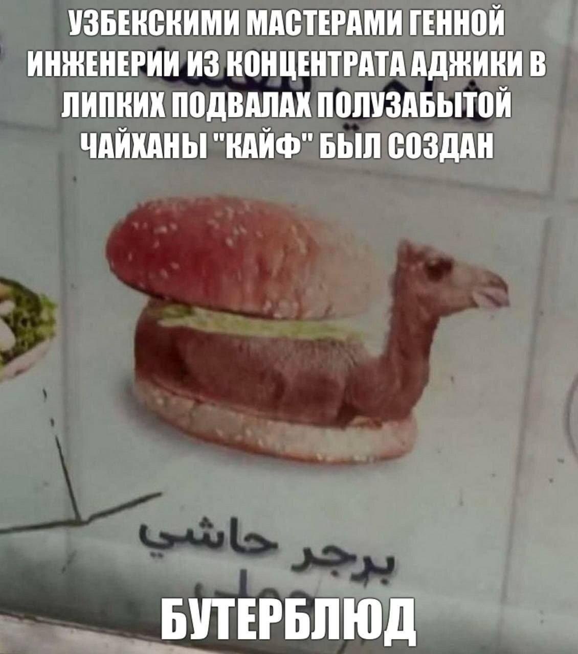 УЗБЕКСКИМИ МАСТЕРАМИ ГЕННОЙ ИНЖЕНЕРИИ ИЗ КОНЦЕНТРАТА АДЖИКИ В ЛИПКИХ ПОДВАЛАХ ПОЛУЗАБЫТОЙ ЧАЙКАНЫ "КАЙФ" БЫЛ СОЗДАН БУТЕРЬЛЮД