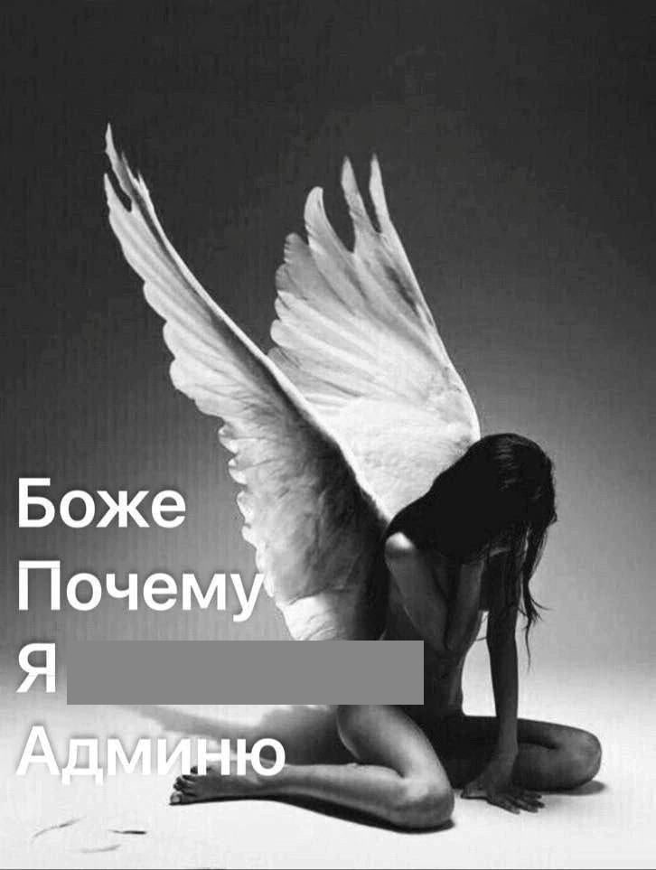 Боже Почем wine