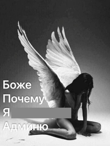 Боже Почем wine