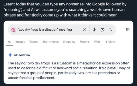 Learnt today that you can type any nonsense into Google followed and will assume you're searching а well-known human phrase and frantically come up with what it thinks it could mean. a “two dry frogs 