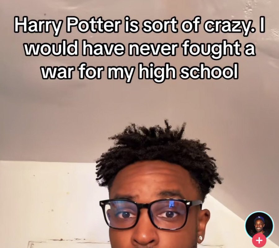 Harry Potter is sort of crazy. would have never fought a war for my high school
