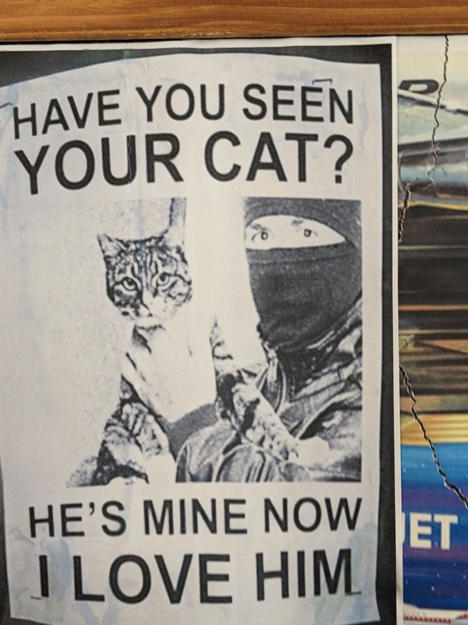 🐱