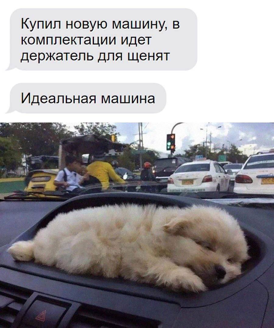 Купил новую машину, в комплектации идет держатель для щенят Идеальная машина we 44