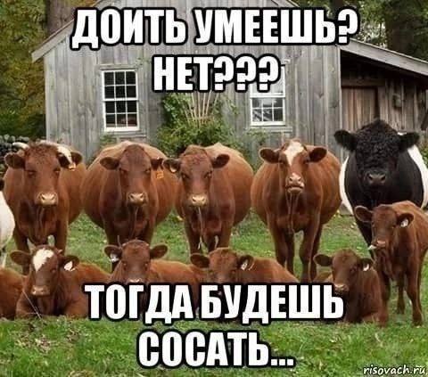 УМЕЕШЬ? ТОГДАБУДЕШЬ