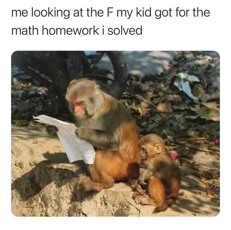 me looking а the my kid got for the math homework i solved