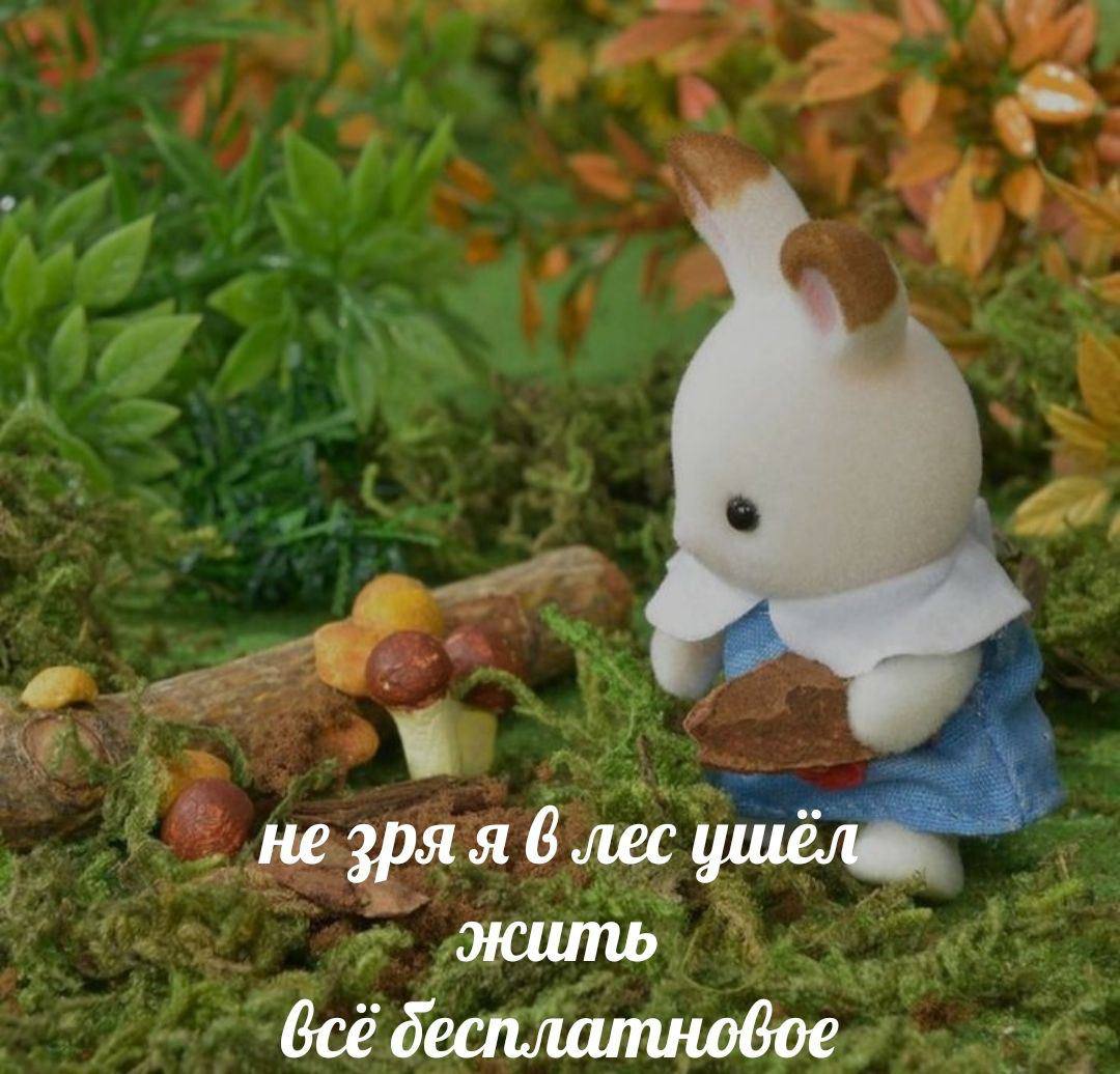 не зря я 8 лес циёл жить бесплатновое