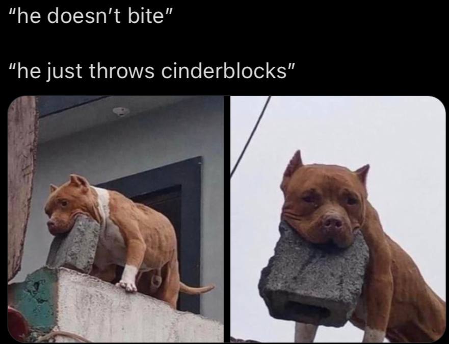 “he doesn't bite” “he just throws cinderblocks”
