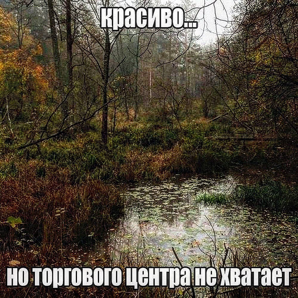 ноторгового центра нехватает