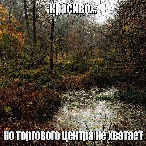ноторгового центра нехватает