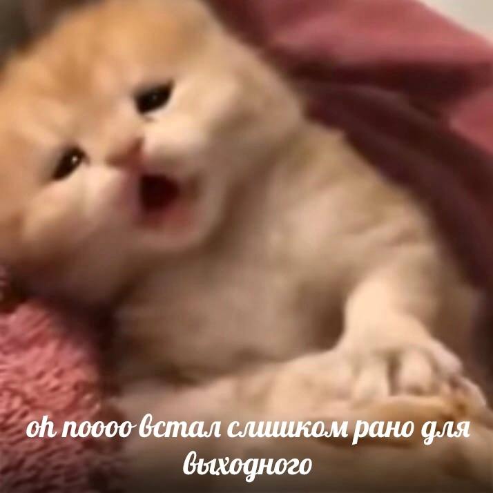 nooco слишком рано для выходного