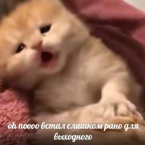 nooco слишком рано для выходного