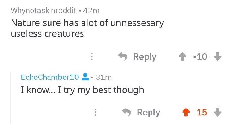 Whynotaskinreddit Nature sure has alot of unnessesary useless creatures Reply 4 -10 EchoChamber10 I know... I try my best though Reply 4% 15