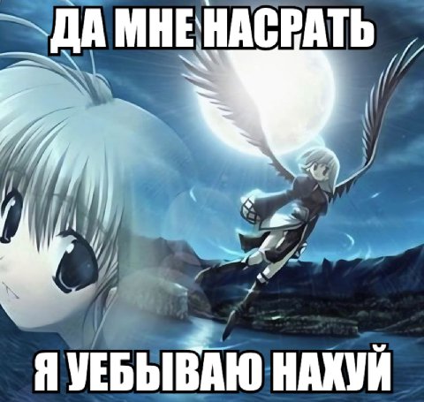 ДА МНЕНАСРАТЬ И 95 Я