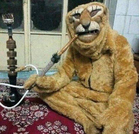 В i у 3 у 7 4 МАЕ