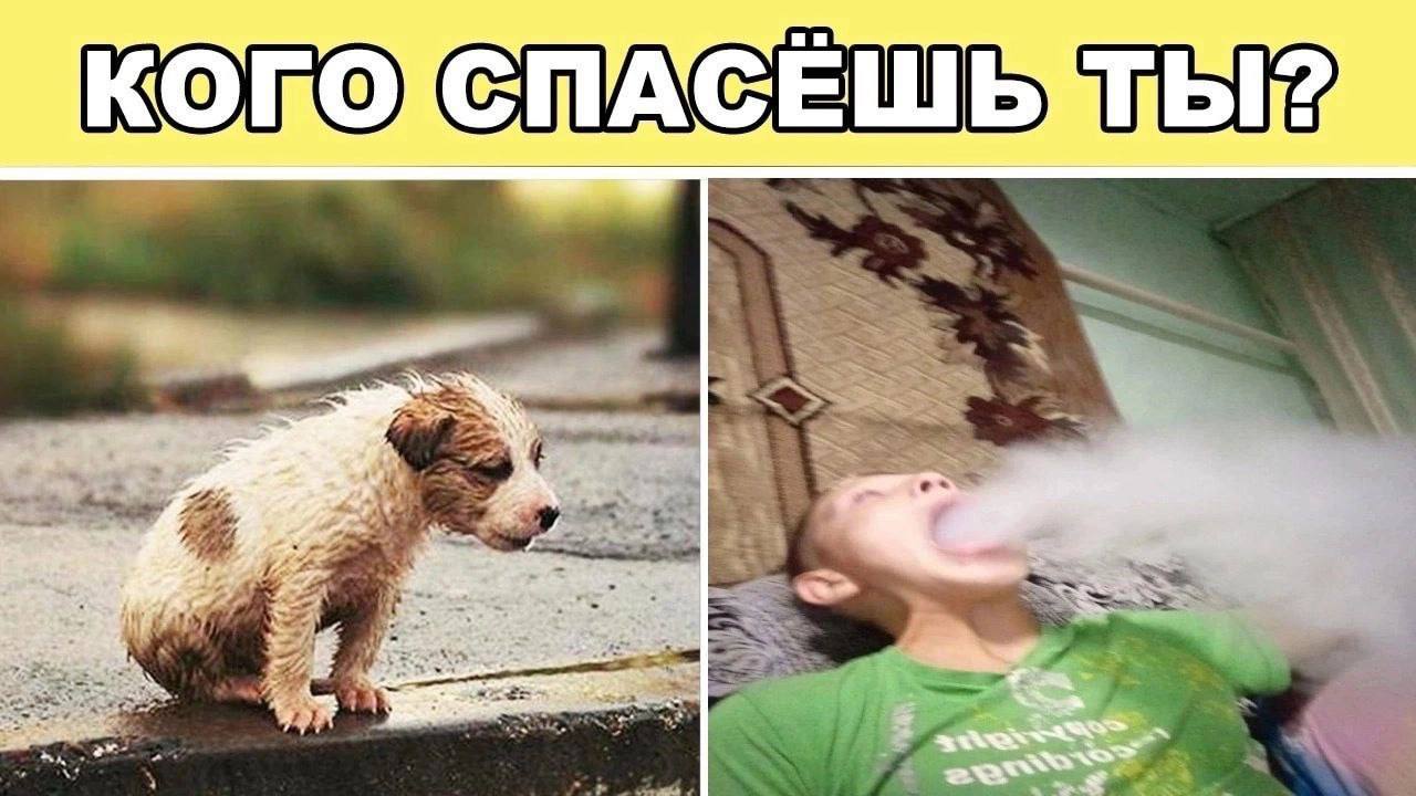 4 4 4 Я 2 a 2 с. а 14% у 4 2