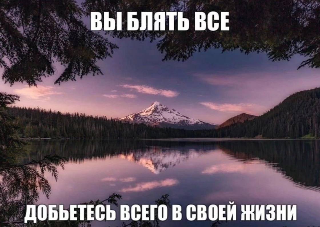 ВЫ БЛЯТЬ ВСЕ ДОБЬЕТЕСЬ ВСЕГО В СВОЕЙ ЖИЗНИ
