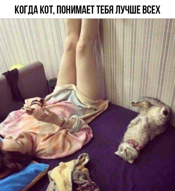 КОГДА КОТ, ПОНИМАЕТ ТЕБЯ ЛУЧШЕ ВСЕХ