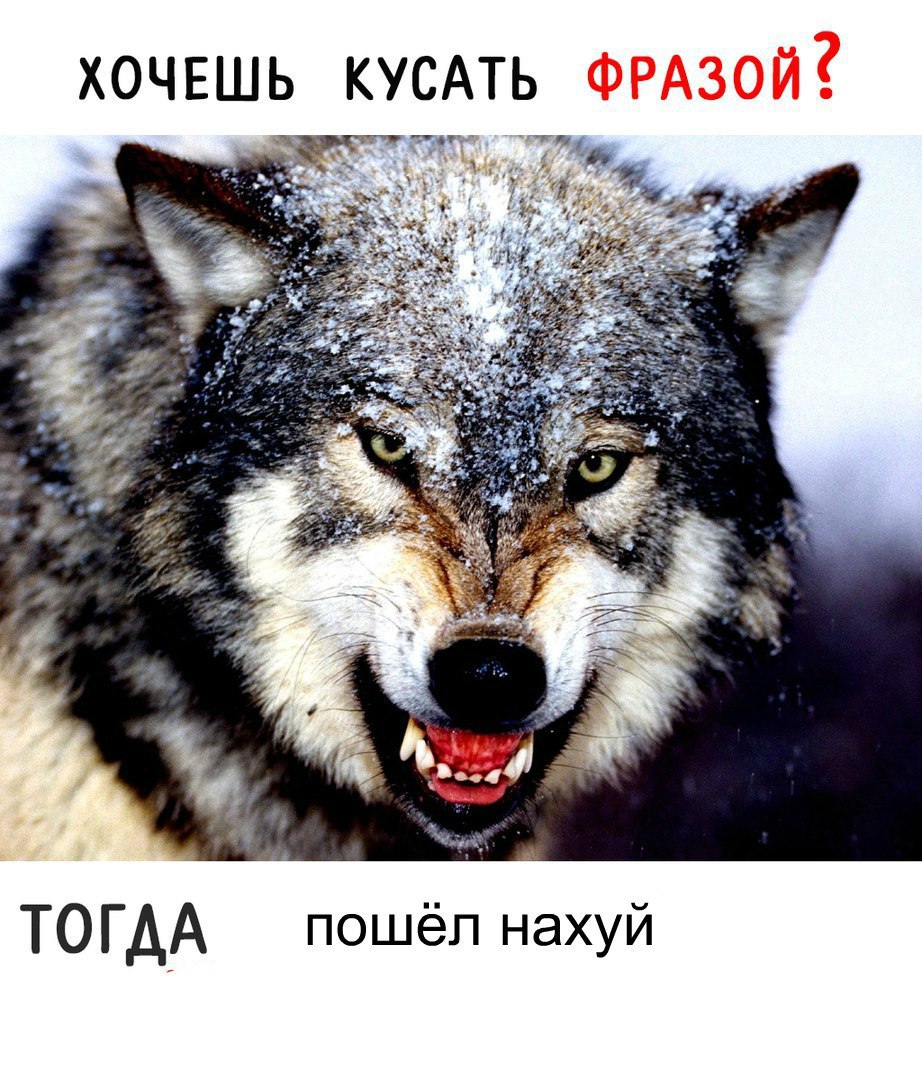 ХОЧЕШЬ КУСАТЬ ТОГДА пошёл нахуй