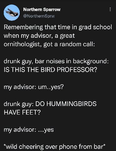 Northern Sparrow Remembering that time in grad school when my advisor, a great ornithologist, got a random call: drunk guy, bar noises in background: IS THIS THE BIRD PROFESSOR? my advisor: um..yes? d
