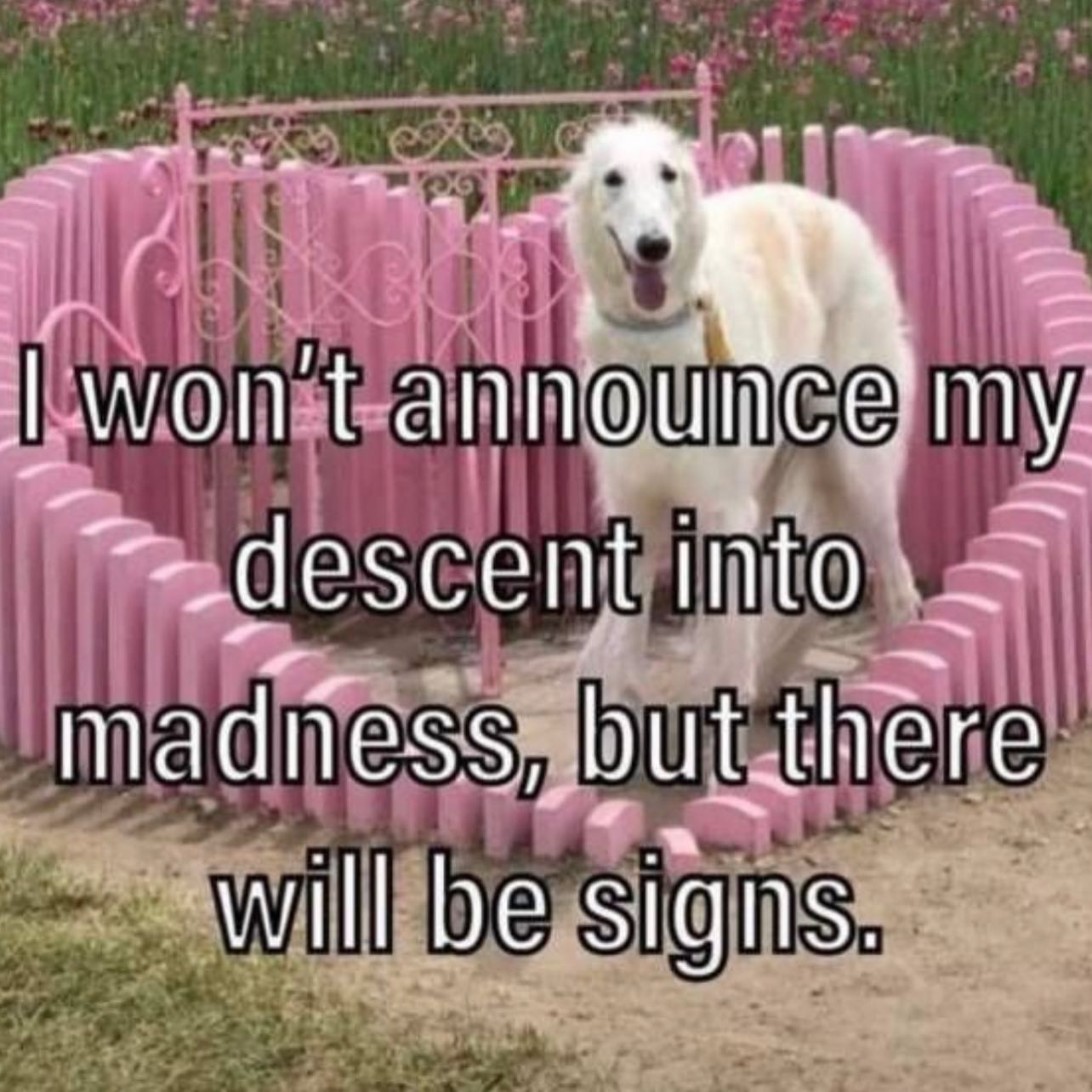 77 won my but ‘will be signs