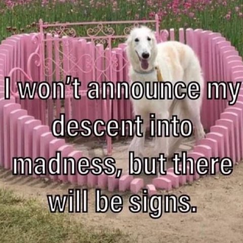 77 won my but ‘will be signs