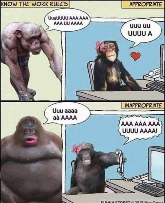 APPROPRIATE UuuUUUU AAA AAA АААА a аааа AAAA AAA AAA AAA UUUU AAAA! a