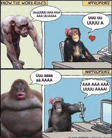 APPROPRIATE UuuUUUU AAA AAA АААА a аааа AAAA AAA AAA AAA UUUU AAAA! a