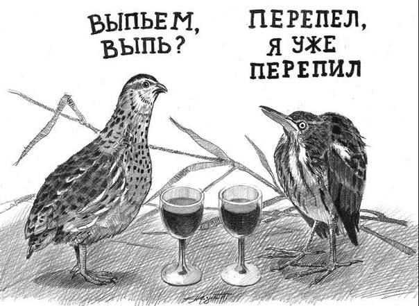 ПЕРЕПЕЛ, ЫПЬЕМ, Я УЖЕ ПЕРЕПИЛ Я A 772 27 27
