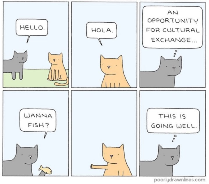 OPPORTUNITY FOR CULTURAL EXCHANGE THIS 15 GOING WELL а poorlydrawnlines.com