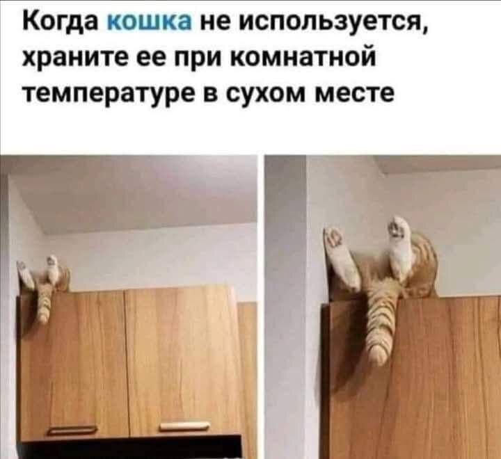 Когда кошка не используется, храните ее при комнатной температуре в сухом месте и a