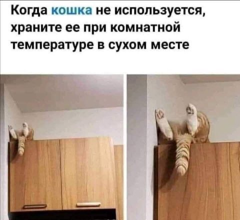 Когда кошка не используется, храните ее при комнатной температуре в сухом месте и a