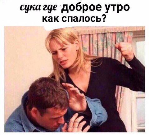 сука где доброе утро как спалось? 1