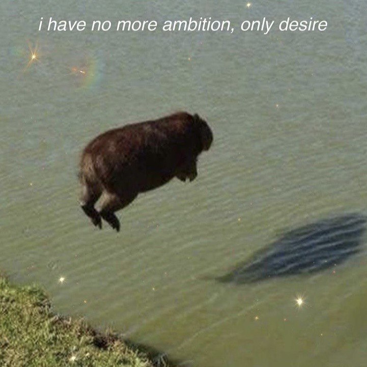 i have по more ambition, only desire