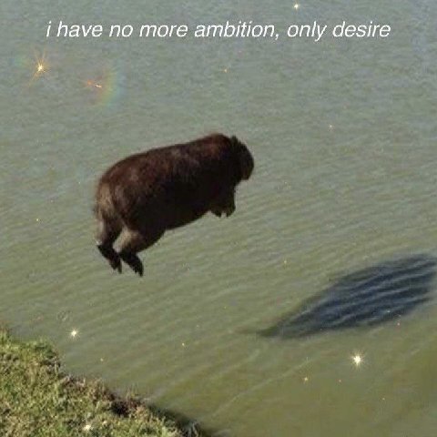 i have по more ambition, only desire